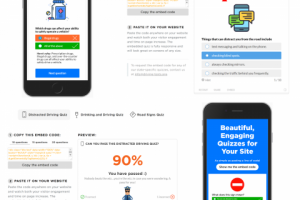 Эмбед-версия тестов по вождению