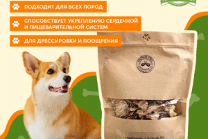 Инфографика для маркетплейсов