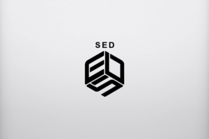 Логотип логистической компании SED