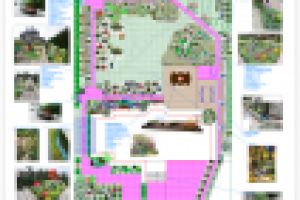 Концепция ландшафтного дизайна