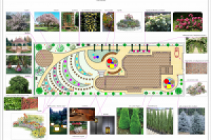 Дизайн ландшафта.