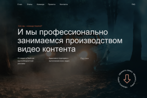 Видеопродакашн с нуля (сайт на тильде + настройка директ)