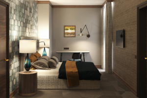 Номерной фонд гостиницы «Askaneli»