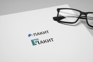 Варианты лого для сайта ПАКИТ