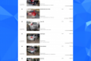 Аукцион автомобилей Total01