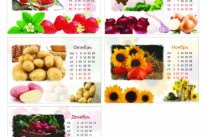 календарь "домик" на пружине_200х150 дизайн с нуля