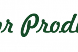 разработка логотипа