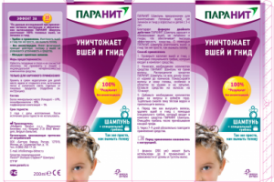 верстка рускоязычной версии