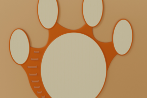 Зеркало-лапка