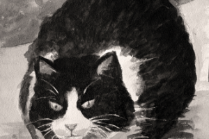Иллюстрация "Кошка"