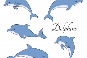 Клипарт "Дельфины"