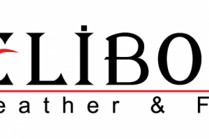 Отрисовка логотипа