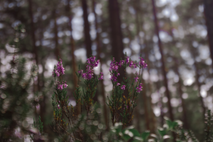 Работа 3971364