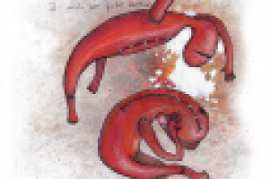 иллюстрация2