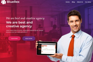 Bluerex – сайт для агентства