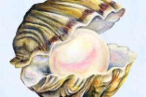 Иллюстрация к детской книжке