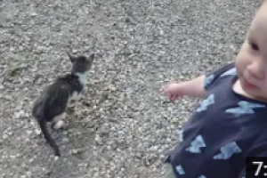 как снять прогулку самому