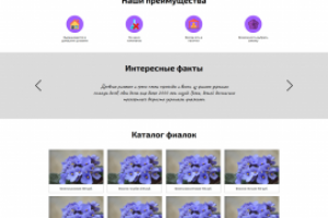 Адаптивная верстка Fialka86.ru