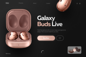 Landing page concept Samsung