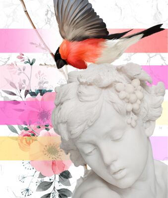 img4129360.png