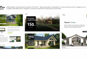 WEB дизайн/брендинг