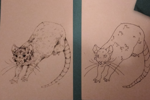 Стилизация крысы