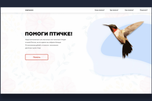 Кормушка - фонд помощи птицам