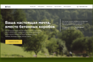 Лесной пейзаж - природное чудо рядом с Москвой