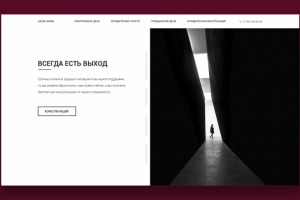 Альтернатива - профессиональное, юридическое агенство