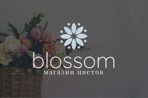 img4025158.png