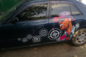 Работа 3077855