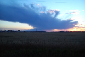 Работа 3077682