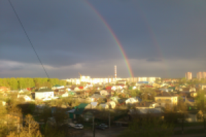 Работа 3077671