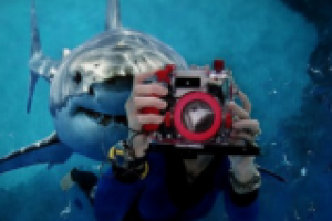 Опасности подводного плавания. Дайвинг