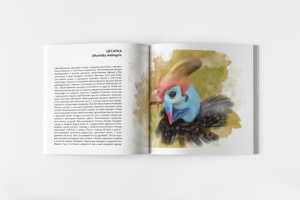 иллюстрация для каталога