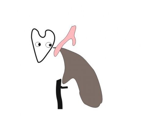 img3938218.png