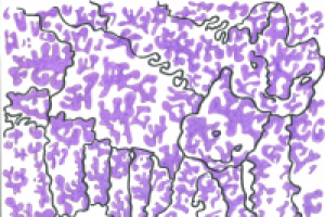 Работа 2769855