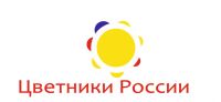 img2875391.png