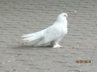 img1748246.png