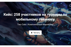 Кейс: 258 участников на турниры по мобильному геймингу