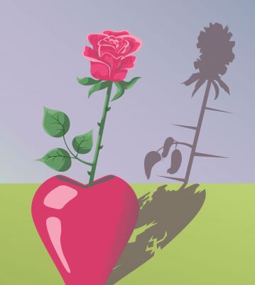 img4280500.png
