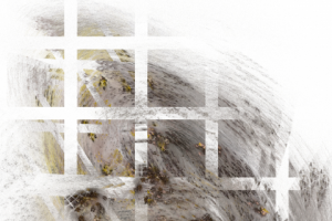 Без названия,