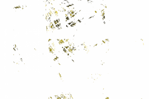 Без названия,