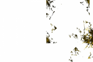 Без названия,