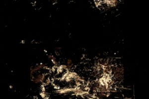 Без названия,