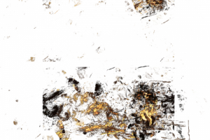 Без названия,