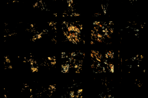 Без названия,