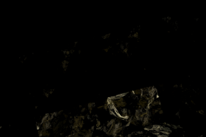 Без названия,