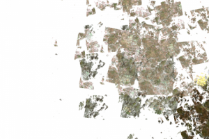 Без названия,