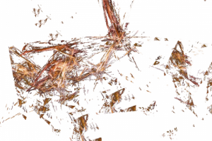 Без названия,